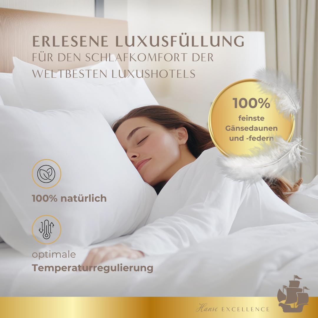hanse-excellence-3-kammer-g-nsedaunenkissen-40x80-cm image 2